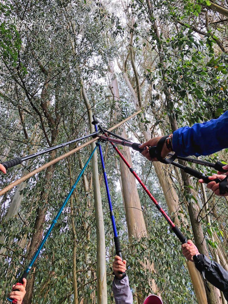 Bastones y peregrinas en el Camino de Santiago