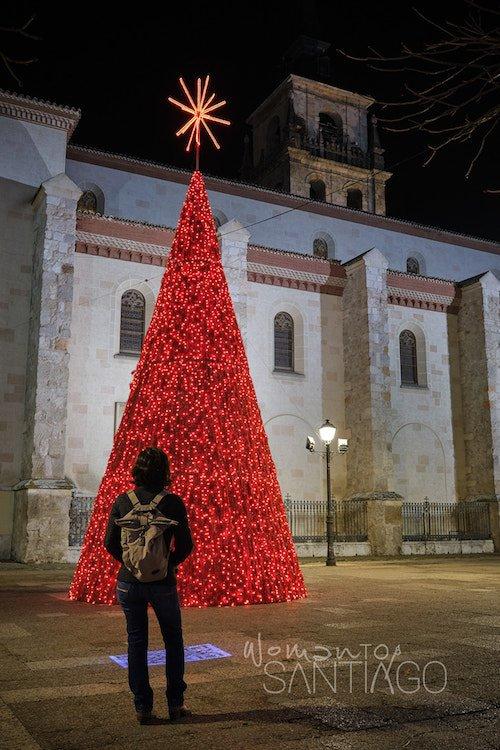 Árbol de Navidad frente a la Catedral de Alcalá de Henares