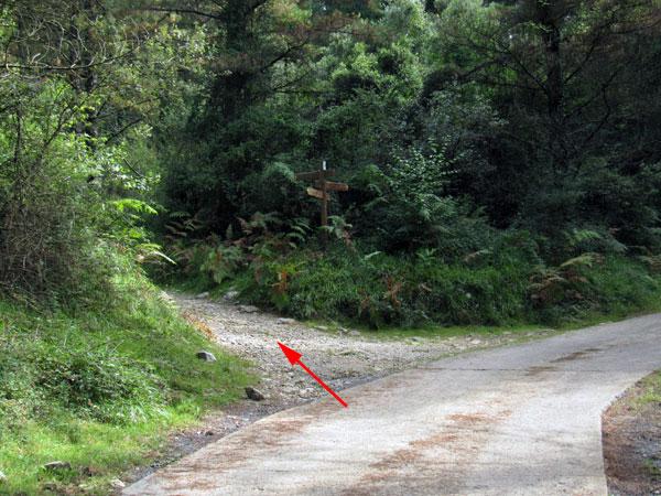 PR-BI 81 a la izquierda; PR-BI 82 a la derecha