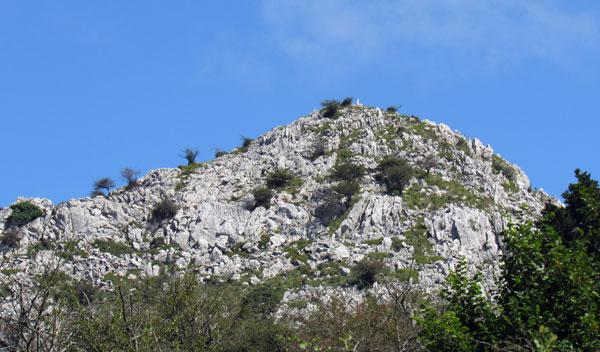 Urtemondo. Por allí asoma su vértice geodésico.