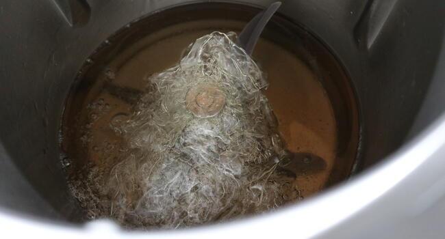 Echamos la gelatina y mezclamos bien