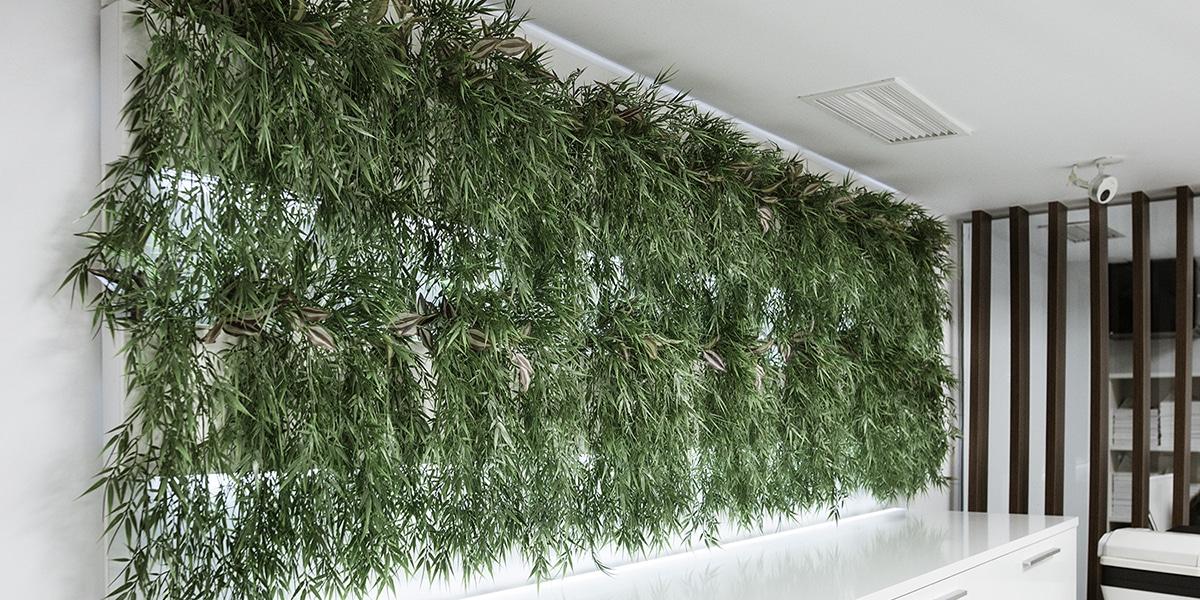 Plantas en las paredes