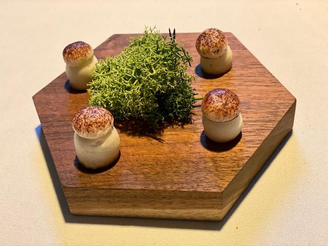 Santo y Seña. Santerra