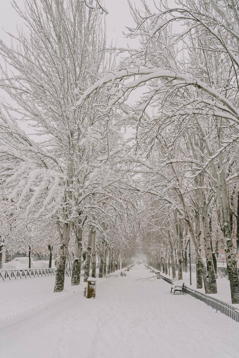 Fotos nevada Torrejón de Ardoz