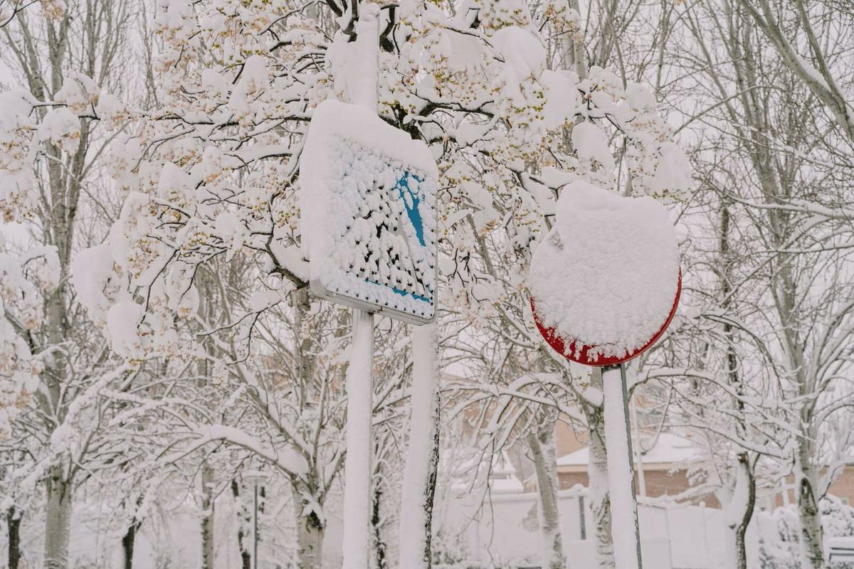 Fotos nevada Torrejón de Ardoz