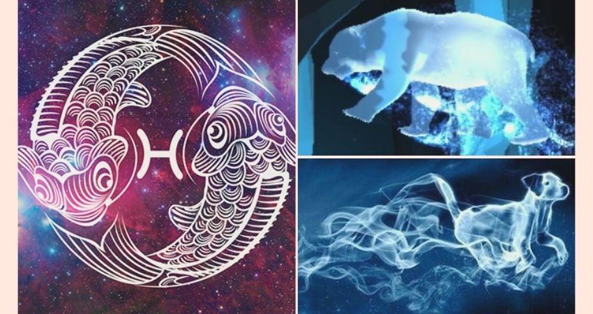 Cuál es tu Patronus según tu zodíaco