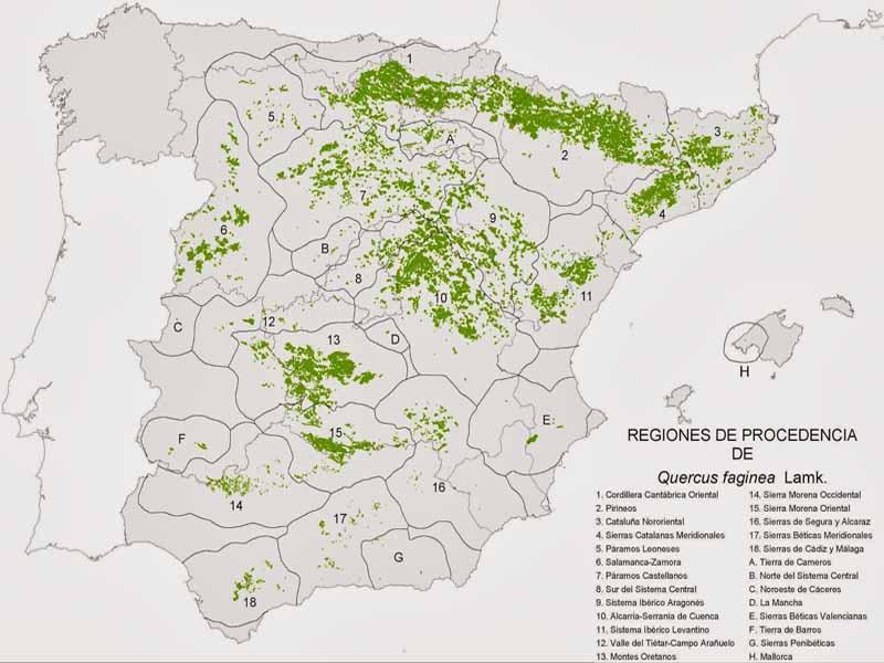 Presencia de Quejigo en España