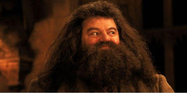 cumpleaños de hagrid