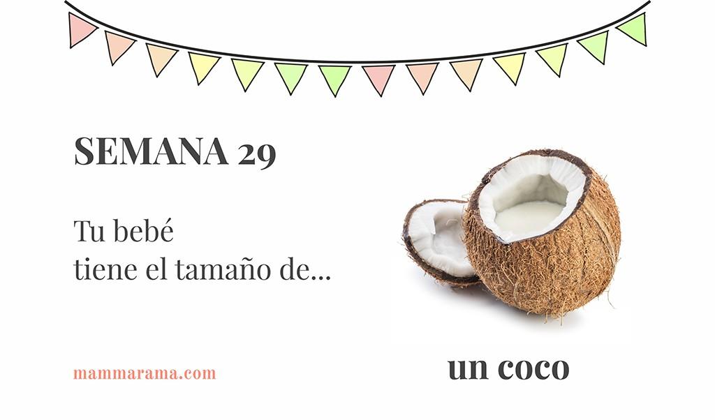 Semana 29 de embarazo: tu bebé tiene el tamaño de un coco