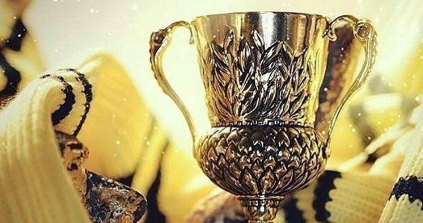 Copa de Hufflepuff