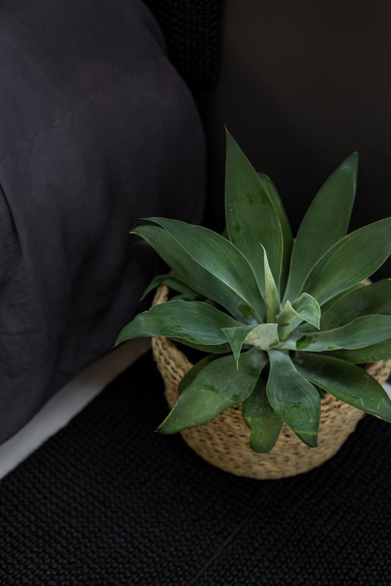 lets-pause-by-mariaalgaraphotography-verde