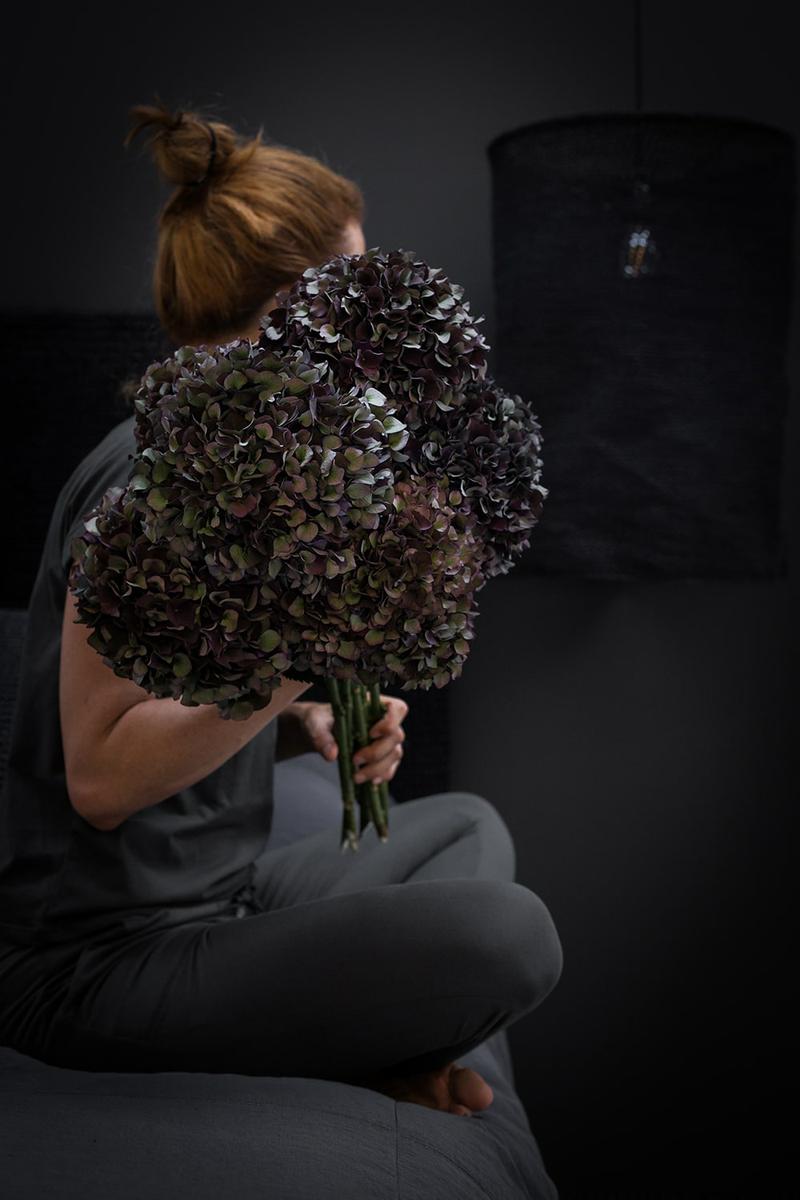 lets-pause-by-mariaalgaraphotography-hortensia