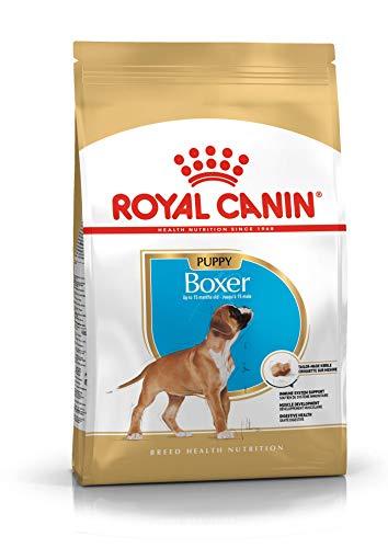 Royal Canin C-08933 S.H. Nut Boxer Junior - 12 Kg