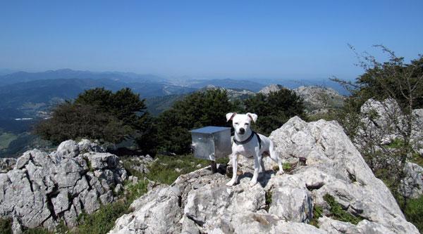 ¡Cima! Momento para sacarnos una foto orgullosos junto al buzón.