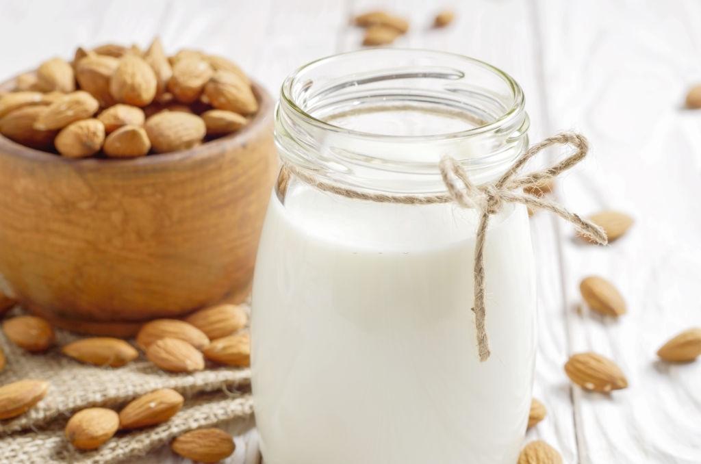 desayuno vegano probiotico