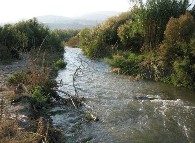 Cauce del río Adra