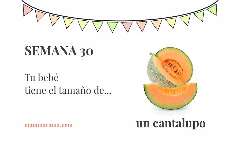 Semana 30 de embarazo: tu bebé tiene el tamaño de un cantalupo