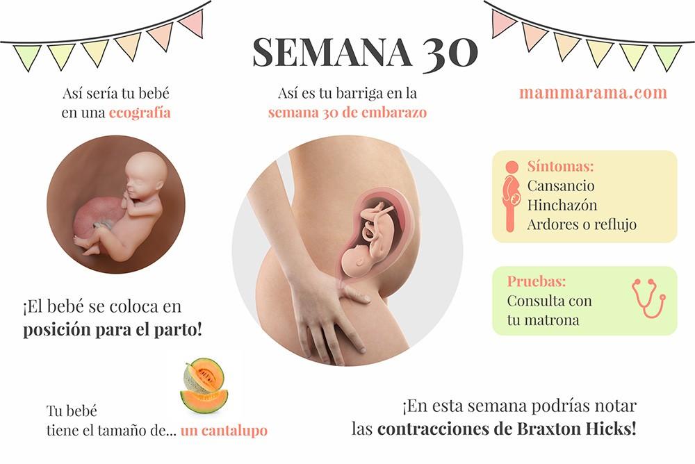 semana 30 de embarazo: síntomas pruebas ecografía tamaño bebé barriga