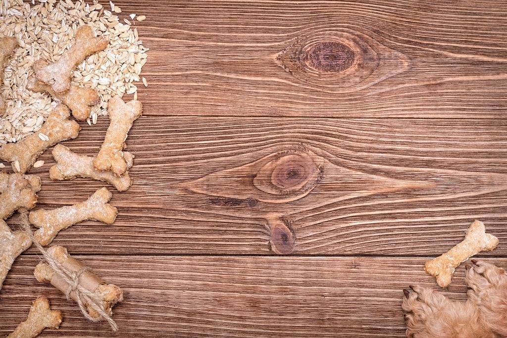 Galletas para perros