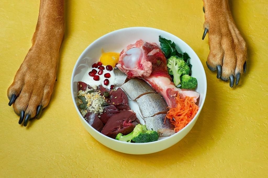 Receta cruda para perros