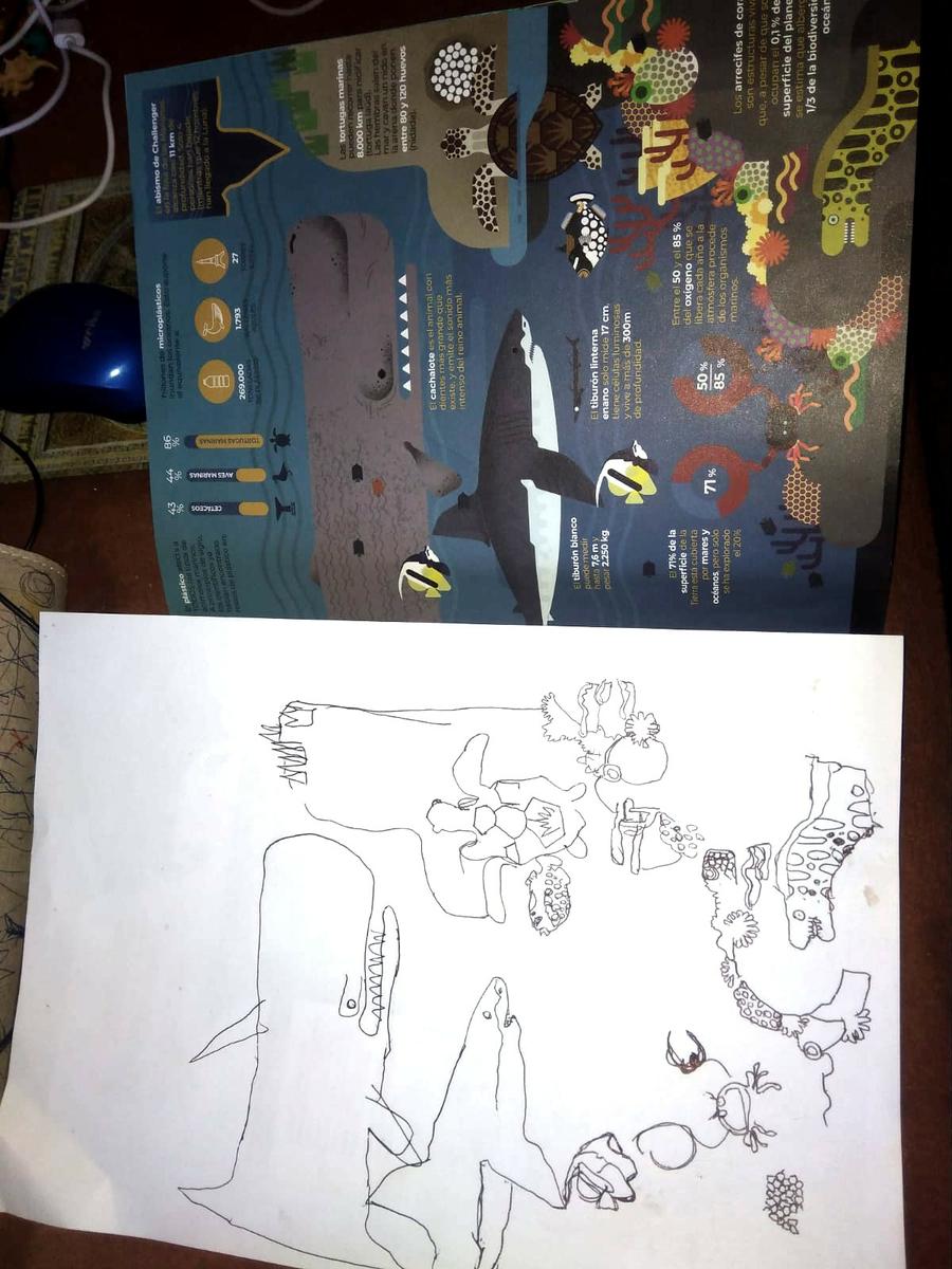 Dibujos que ha hecho mi sobrino del numero 2 de la revista sobre los oceanos