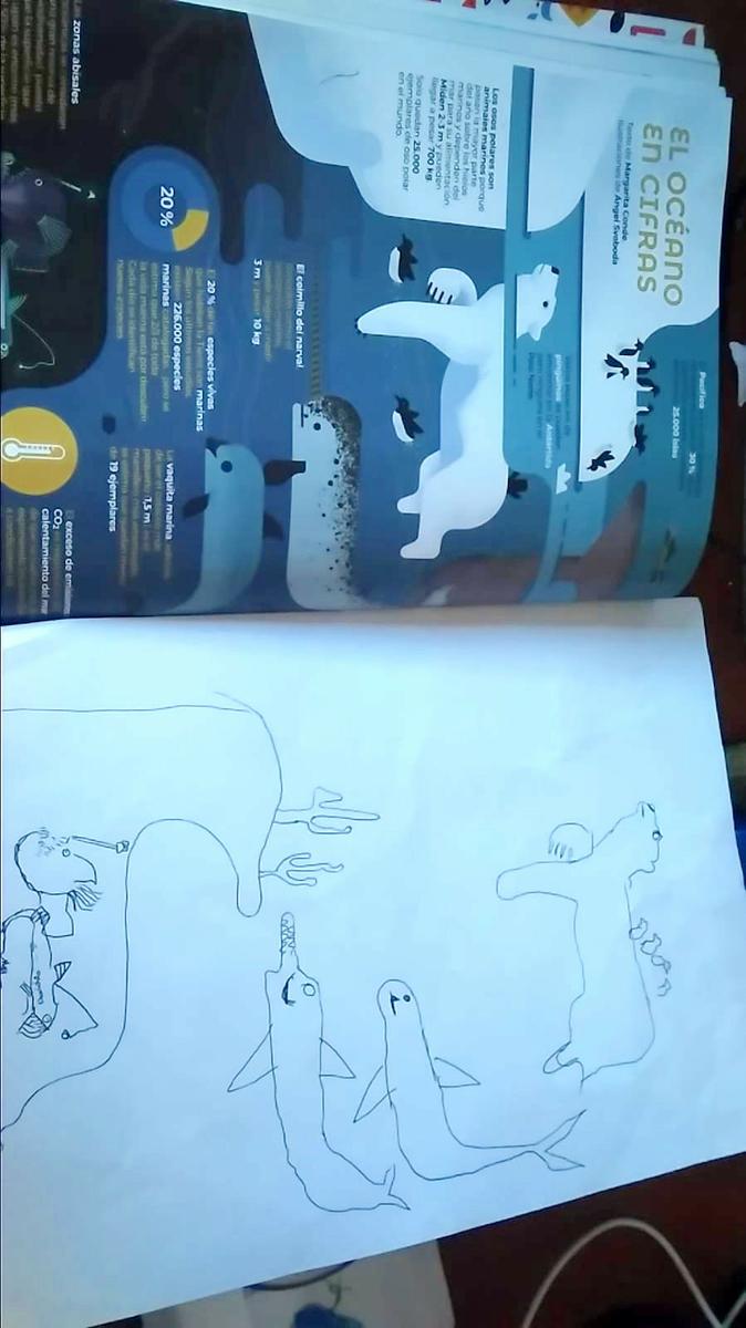 Dibujos que ha hecho mi sobrino del numero 2 de la revista sobre los océanos