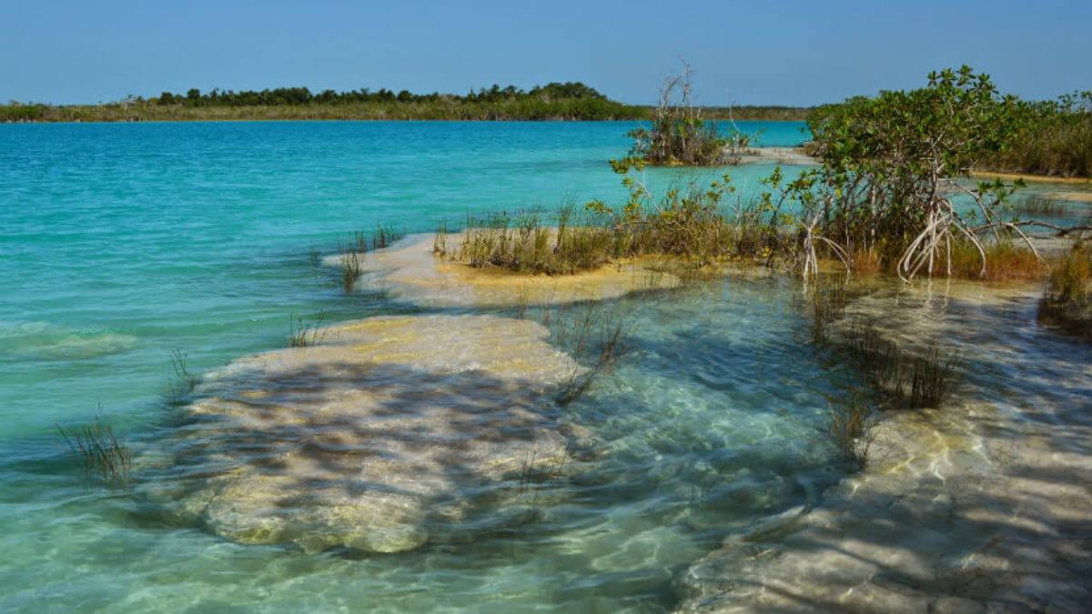 Estromatitas en Bacalar