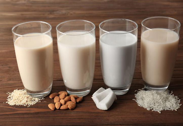 Resultado de imagen de bebidas vegetales