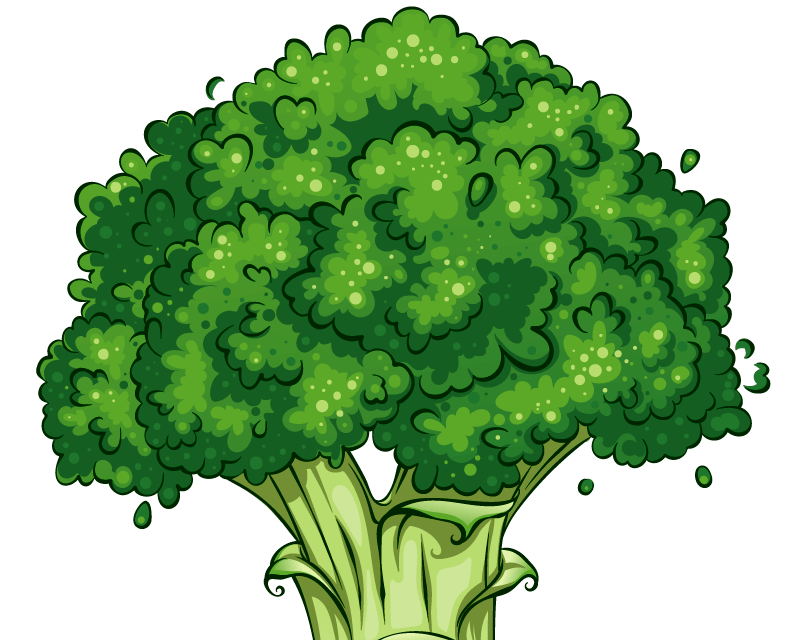dibujo de brocoli