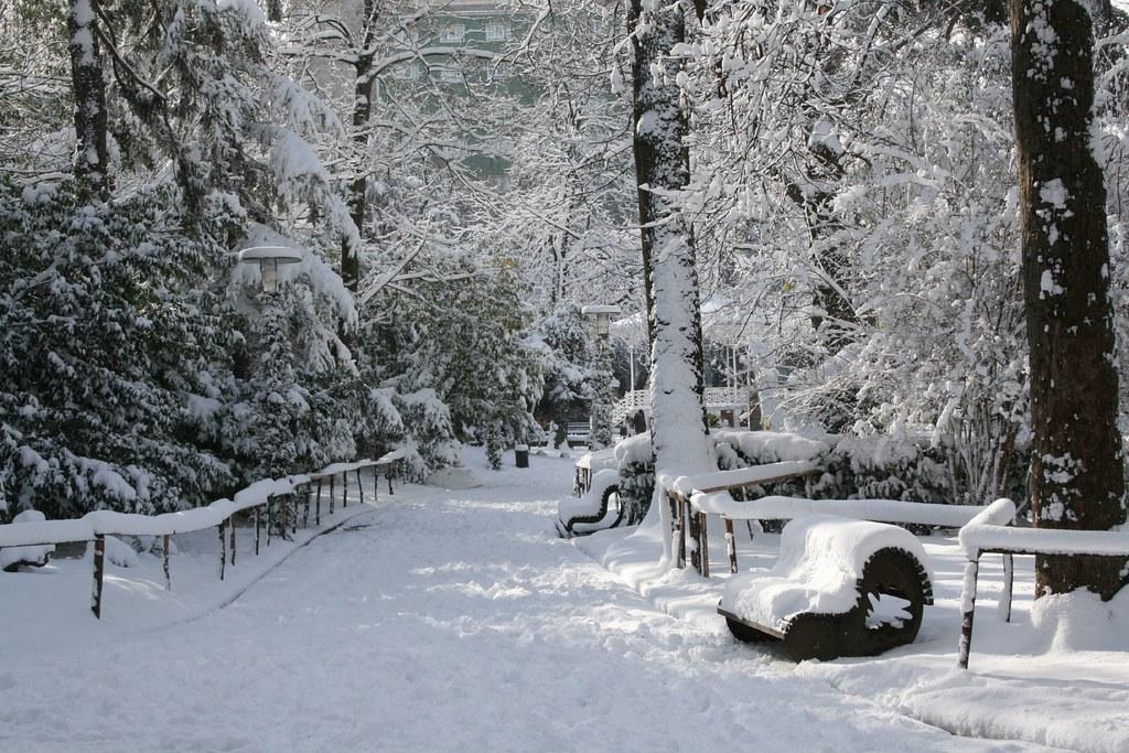 Parque de la Florida