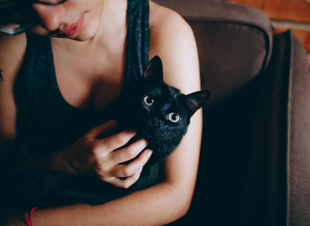El pica en gatos se trata con amor