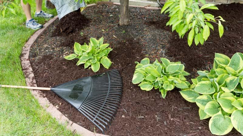 Mantenimiento del jardín