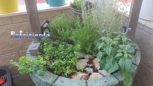 Convertir un viejo pozo fuente en un macetero aromático