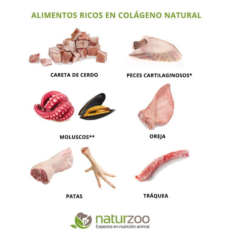 COLAGENO