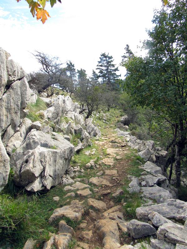 Me dirás que no es bonito el sendero...