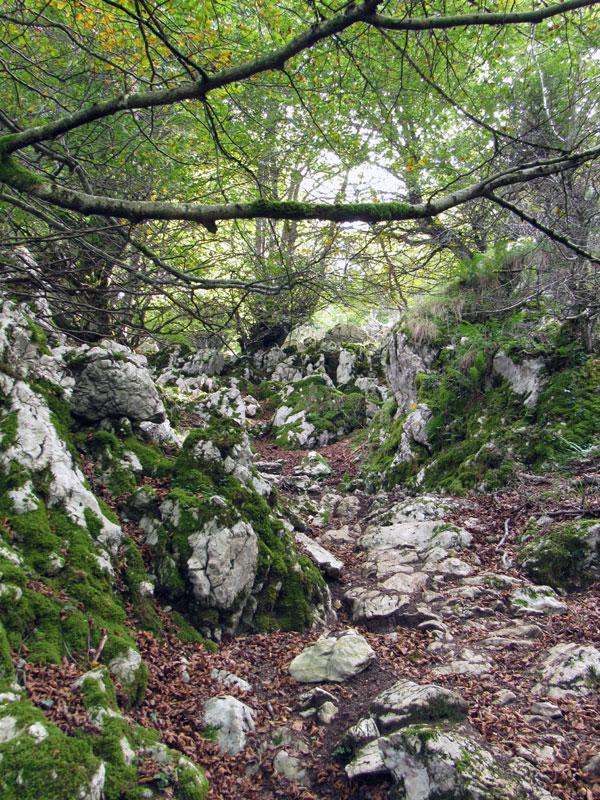 Aunque a primera vista no parezca, el camino se sigue fácil