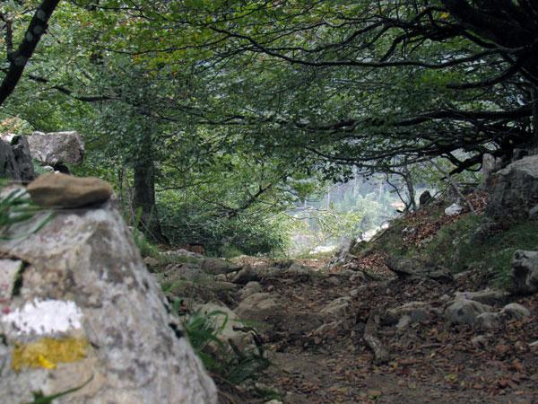 ¡Venga, que ahora es cuesta abajo!