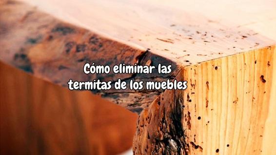 Como eliminar las termitas de los muebles