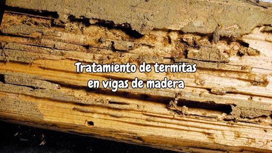 Tratamiento de termitas en vigas de madera