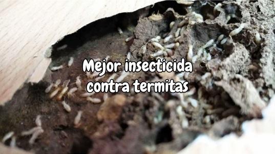 Mejor insecticida contra termitas