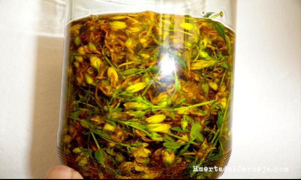 Flores y aceite de oliva virgen