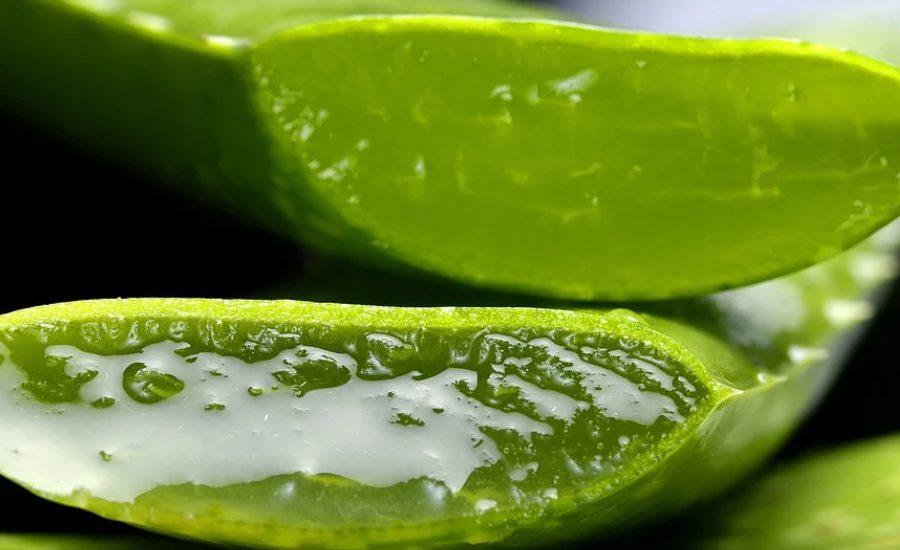 beneficios aloe vera jugo