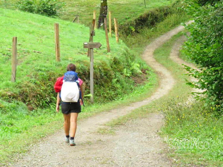 Tramo del Camino de Santiago hasta Santo Toribio de Liébana