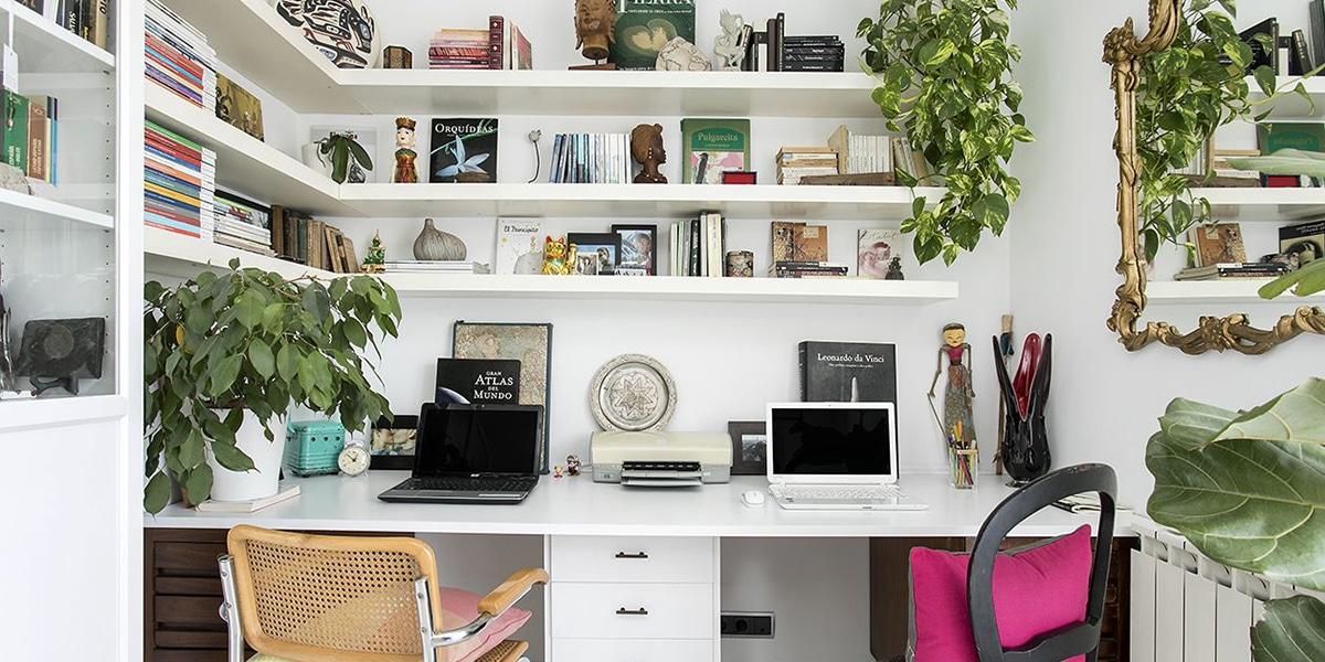 Añade plantas en tu despacho en casa