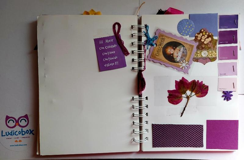 libro del color violeta