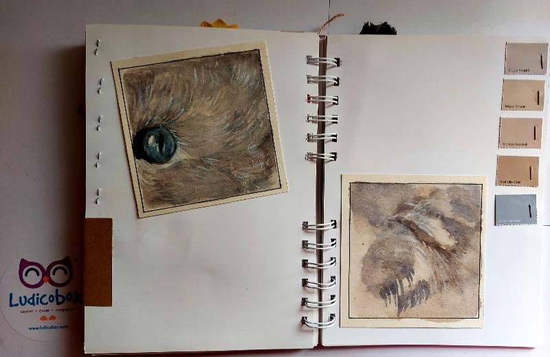 libro del color pelajes