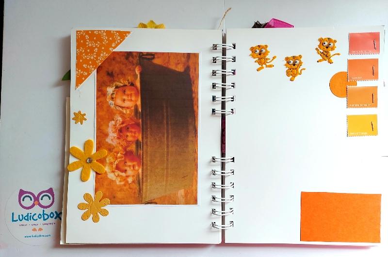 libro del color naranja