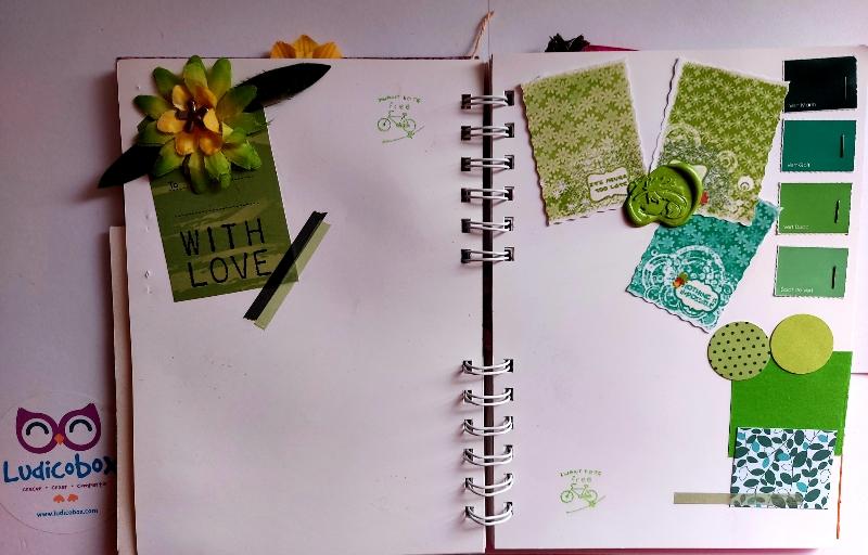 libro del color verde