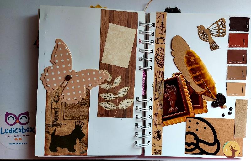 libro del color marron