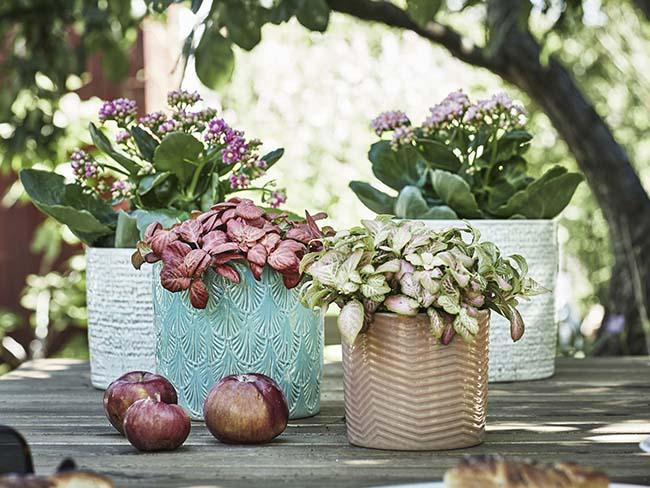 Mucho verde para respirar naturaleza